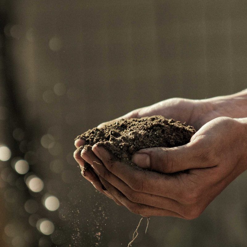 Soil Soil